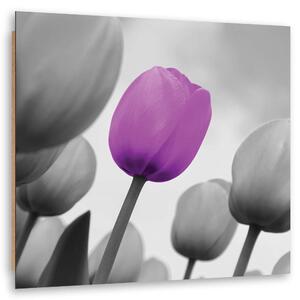 Obraz Fialový tulipán v šedé barvě Velikost: 30 x 30 cm, Provedení: Panelový obraz