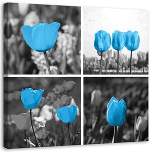 Obraz na plátně Sada modrých tulipánů Rozměry: 30 x 30 cm