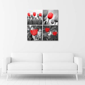 Obraz na plátně Sada červených tulipánů v šedé barvě Rozměry: 30 x 30 cm