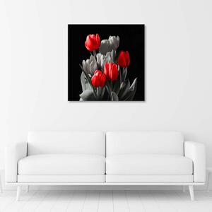 Obraz na plátně Kytice červených tulipánů Rozměry: 30 x 30 cm