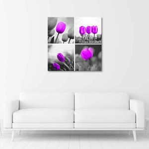 Obraz na plátně Sada fialových tulipánů Rozměry: 30 x 30 cm
