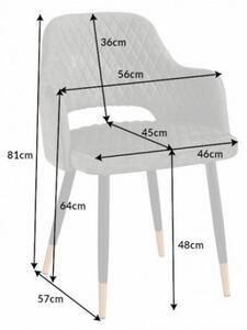 Luxusní sametová židle šedá - Momos Invicta Interior