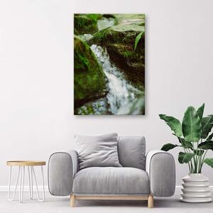 Obraz na plátně Spěchající řeka Rozměry: 40 x 60 cm