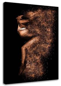 Obraz na plátně Krásná žena ve zlatém prachu Rozměry: 40 x 60 cm