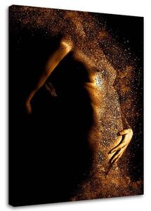 Obraz na plátně Ženský akt ve zlatém prachu Rozměry: 40 x 60 cm