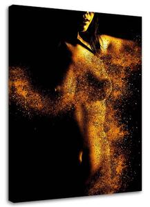 Obraz na plátně Akt ve zlatém prachu Rozměry: 40 x 60 cm
