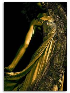 Obraz na plátně Žena ve zlatém prachu Rozměry: 40 x 60 cm
