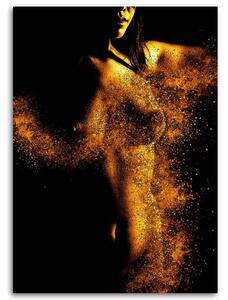 Obraz na plátně Akt ve zlatém prachu Rozměry: 40 x 60 cm