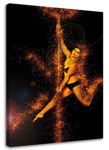 Obraz na plátně Žena tančící na tyči Rozměry: 40 x 60 cm