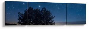 Obraz stromů v noci (170x50 cm)