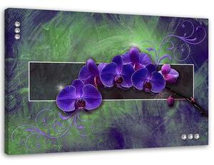 Obraz Orchidej ve fialové barvě Velikost: 120 x 80 cm, Provedení: Panelový obraz