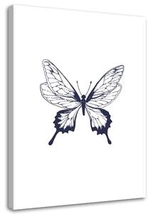 Obraz na plátně Nakreslený motýl Rozměry: 40 x 60 cm