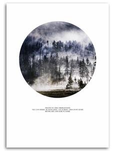 Obraz na plátně Mlžný les Rozměry: 40 x 60 cm