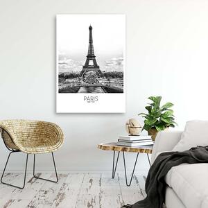 Obraz na plátně Paříž - Eiffelova věž Rozměry: 40 x 60 cm