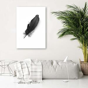 Obraz Černé peří Velikost: 40 x 60 cm, Provedení: Panelový obraz