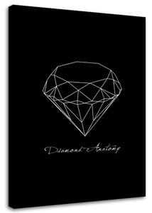 Obraz na plátně Anatomie diamantu Rozměry: 40 x 60 cm