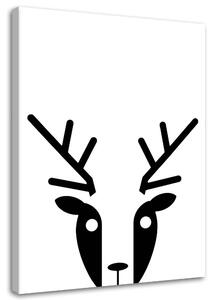 Obraz na plátně Kontrastní jelen Rozměry: 40 x 60 cm