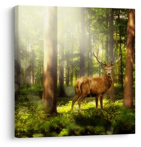 Obraz jelena v lese (30x30 cm)