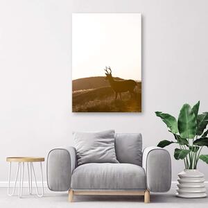Obraz na plátně Mladý jelen Rozměry: 40 x 60 cm