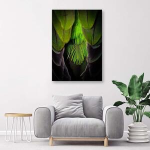 Obraz na plátně Zelené peří Rozměry: 40 x 60 cm