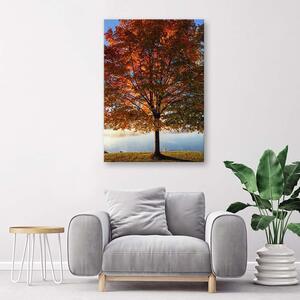 Obraz na plátně Podzimní strom Rozměry: 40 x 60 cm