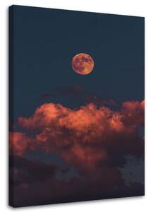 Gario Obraz Růžové mraky Velikost: 40 x 60 cm, Provedení: Obraz na plátně