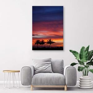 Obraz na plátně Barevná obloha a palmy Rozměry: 40 x 60 cm