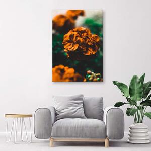 Obraz na plátně Oranžové květy Rozměry: 40 x 60 cm