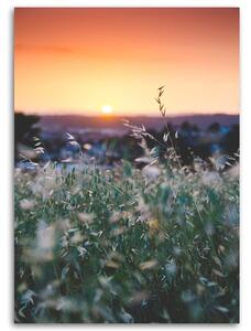 Obraz na plátně Louka a západ slunce Rozměry: 40 x 60 cm