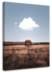 Obraz na plátně Osamělý strom a mraky Rozměry: 40 x 60 cm