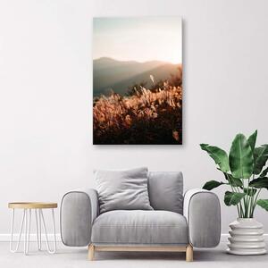 Obraz na plátně Louka a hory Rozměry: 40 x 60 cm