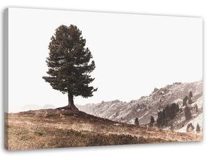 Obraz na plátně Strom na kopci Rozměry: 60 x 40 cm