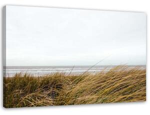 Obraz na plátně Tráva na břehu moře Rozměry: 60 x 40 cm
