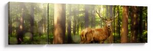 Obraz jelena v lese (170x50 cm)