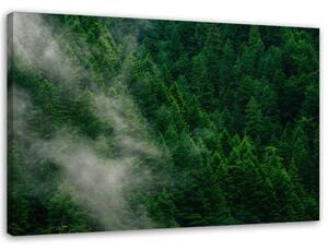 Obraz na plátně Mlha nad lesem Rozměry: 60 x 40 cm