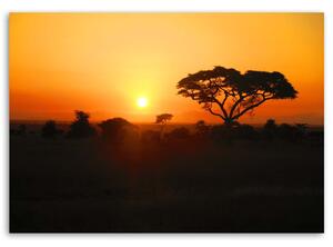 Obraz na plátně Africký západ slunce Rozměry: 60 x 40 cm
