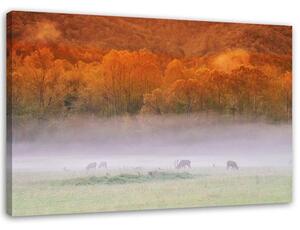 Obraz na plátně Mlha nad řevem Rozměry: 60 x 40 cm