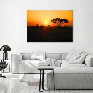Obraz na plátně Africký západ slunce Rozměry: 60 x 40 cm