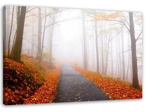 Obraz na plátně Zlatý podzim v parku Rozměry: 60 x 40 cm
