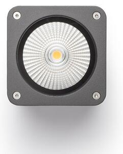 RED R11966 MIZZI SQ stropní antracitová 230V LED 12W IP54 3000K - RED - DESIGN RENDL