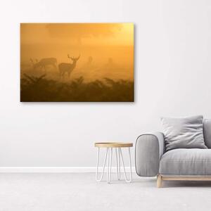 Obraz Stádo jelenů za úsvitu Velikost: 120 x 80 cm, Provedení: Panelový obraz