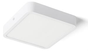HUE SQ 17 stropní bílá 230V LED 18W 3000K - RED - DESIGN RENDL