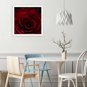 Obraz na plátně Přívěsek červené růže Rozměry: 30 x 30 cm