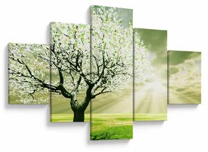 Obraz stromu na louce (125x70 cm)