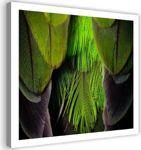 Obraz na plátně Lipově zelené peří Rozměry: 30 x 30 cm