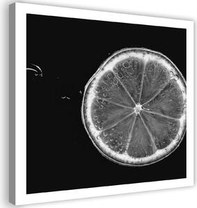 Obraz na plátně Plátek citronu černobílý Rozměry: 30 x 30 cm