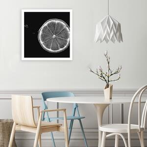Obraz na plátně Plátek citronu černobílý Rozměry: 30 x 30 cm