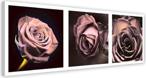 Obraz na plátně Sada panoramatických růží Rozměry: 90 x 30 cm