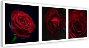 Obraz na plátně Červené růže Rozměry: 90 x 30 cm