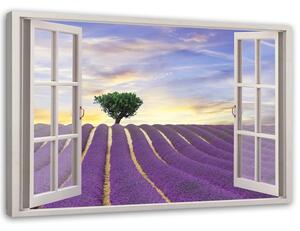Obraz na plátně Okno - levandulové pole Rozměry: 60 x 40 cm